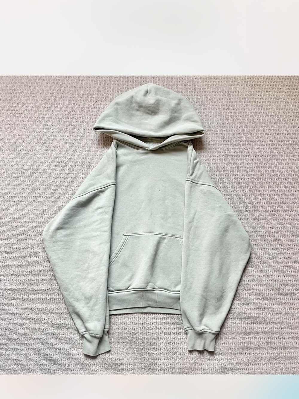 Aritzia Cozy Sweatfleece Sage Green Hoodie Sweatshirt